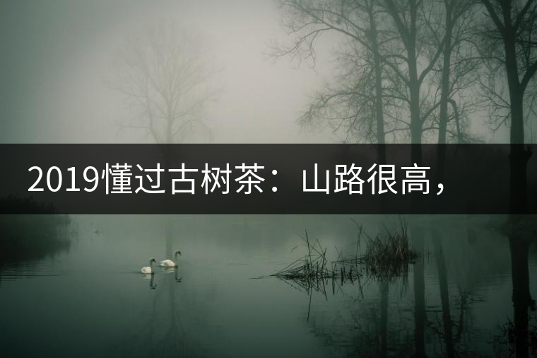 2019懂過古樹茶：山路很高，可仍然有執(zhí)著走向深山的人