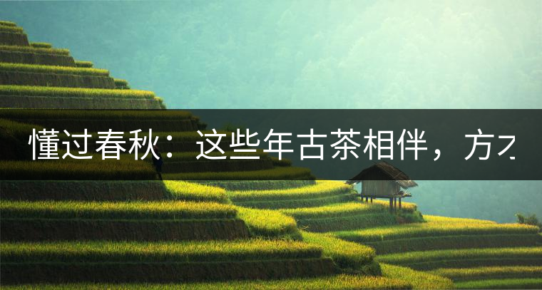 懂過春秋：這些年古茶相伴，方才懂過！