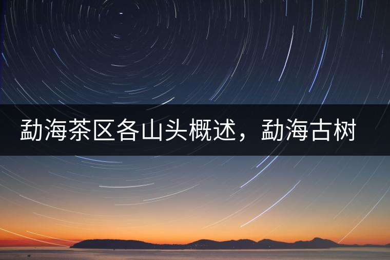 勐海茶區(qū)各山頭概述，勐海古樹茶口感特點