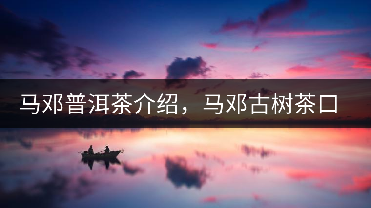 馬鄧普洱茶介紹，馬鄧古樹茶口感特點(diǎn)