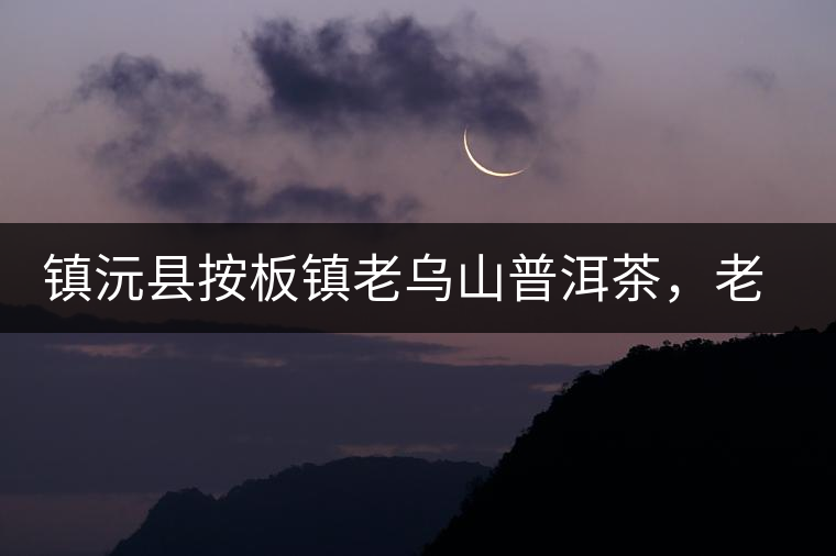 鎮(zhèn)沅縣按板鎮(zhèn)老烏山普洱茶，老烏山古樹(shù)茶口感特點(diǎn)