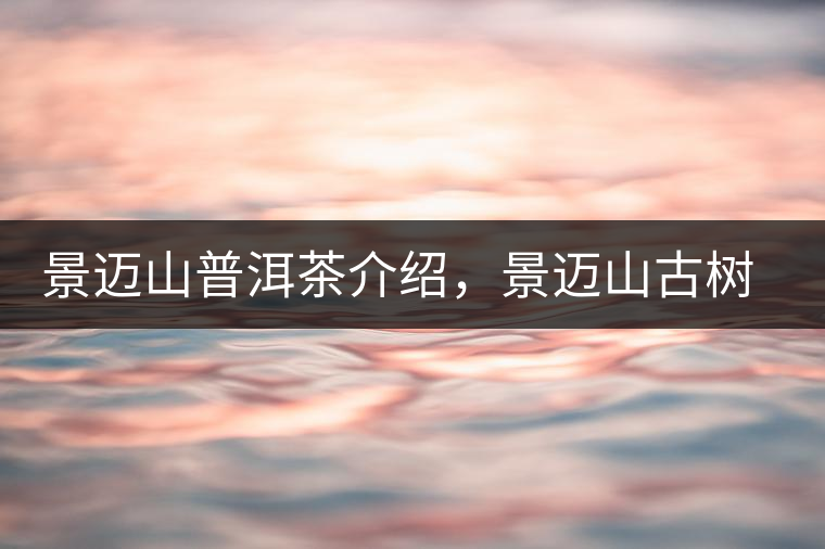 景邁山普洱茶介紹，景邁山古樹茶口感特點