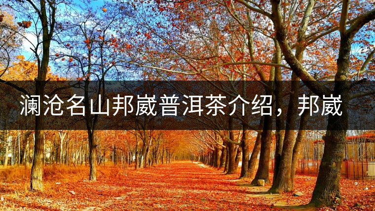 瀾滄名山邦崴普洱茶介紹，邦崴古樹茶口感特點
