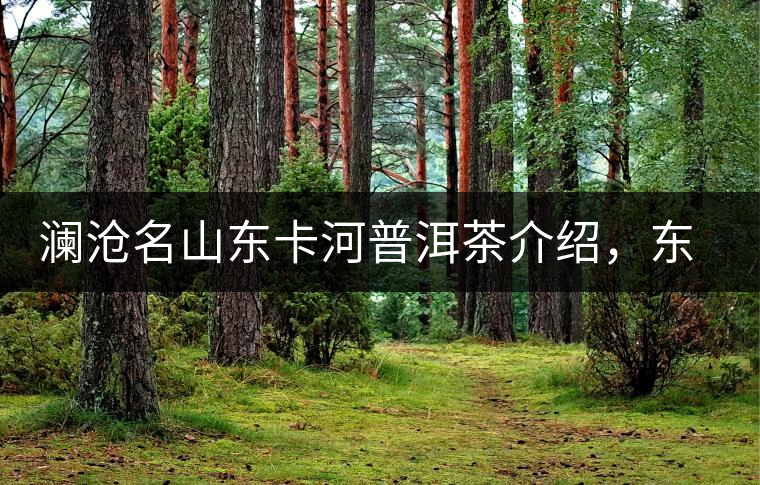 瀾滄名山東卡河普洱茶介紹，東卡河古樹茶口感特點