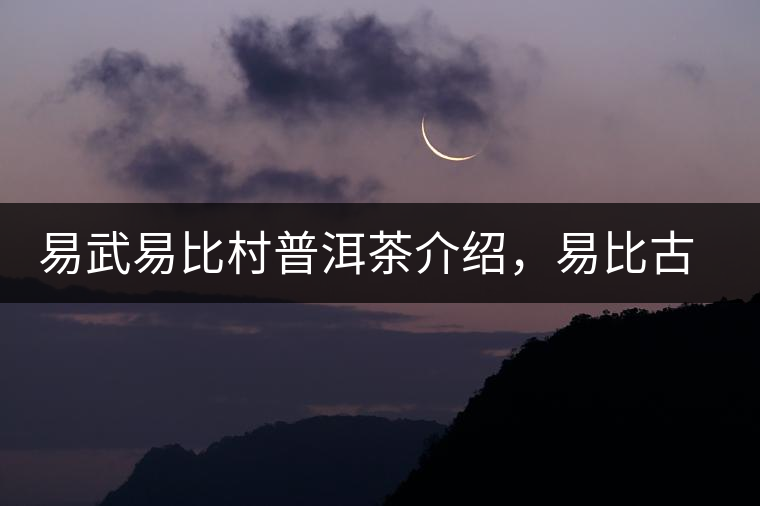 易武易比村普洱茶介紹，易比古樹茶口感特點