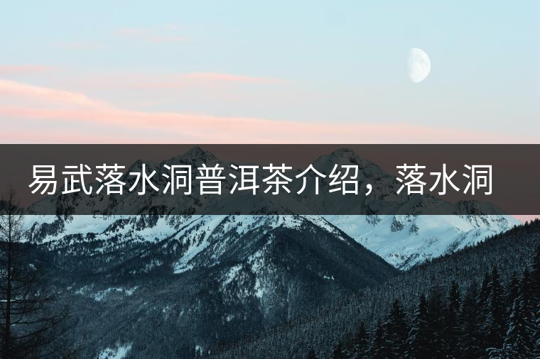 易武落水洞普洱茶介紹，落水洞古樹茶口感特點(diǎn)