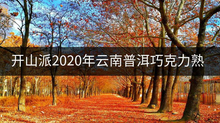 開山派2020年云南普洱巧克力熟茶磚 緊壓普洱茶熟茶1片裝50g