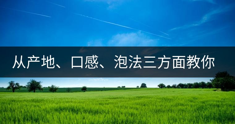 從產(chǎn)地、口感、泡法三方面教你吃透古域小戶賽！