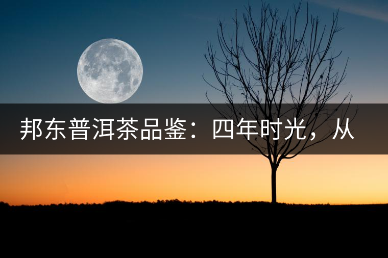 邦東普洱茶品鑒：四年時光，從張揚到內(nèi)斂