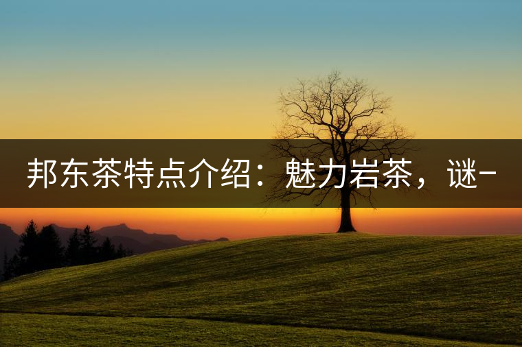 邦東茶特點(diǎn)介紹：魅力巖茶，謎一樣的邦東！