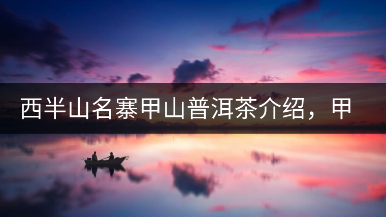 西半山名寨甲山普洱茶介紹，甲山古樹茶口感特點(diǎn)
