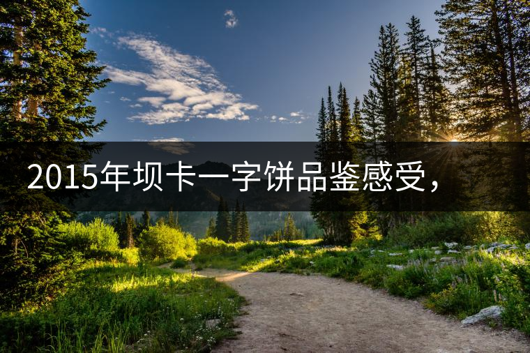 2015年壩卡一字餅品鑒感受，壩卡茶口感特點(diǎn)