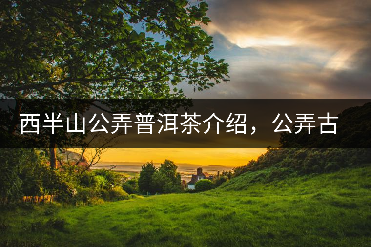 西半山公弄普洱茶介紹，公弄古樹茶口感特點