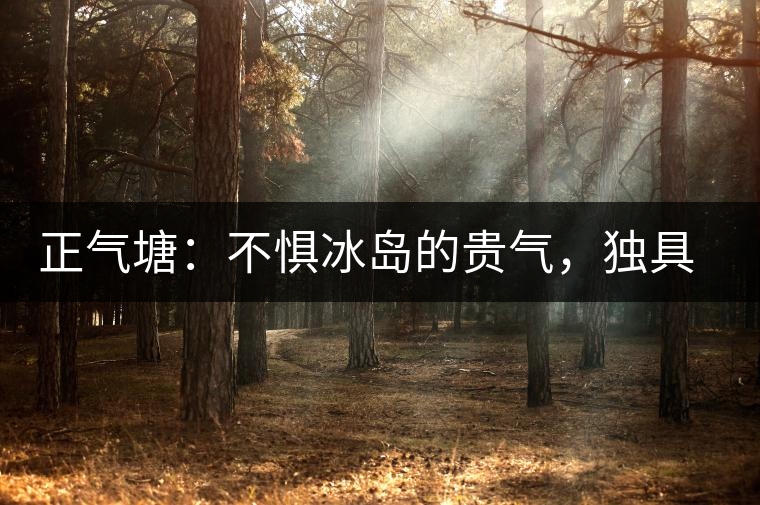 正氣塘：不懼冰島的貴氣，獨具冰島之魅力