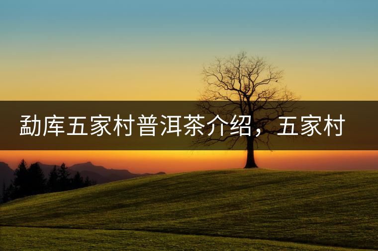 勐庫(kù)五家村普洱茶介紹，五家村古樹茶口感特點(diǎn)