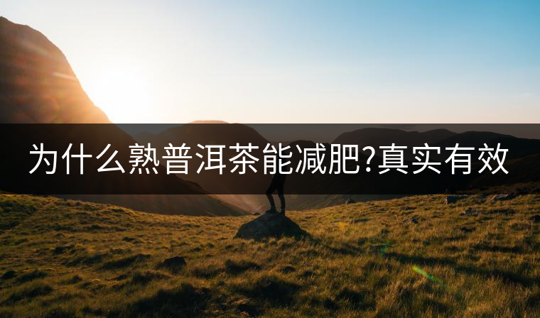 為什么熟普洱茶能減肥?真實(shí)有效嗎？