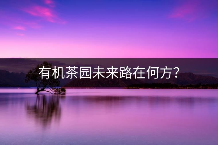 有機(jī)茶園未來路在何方？