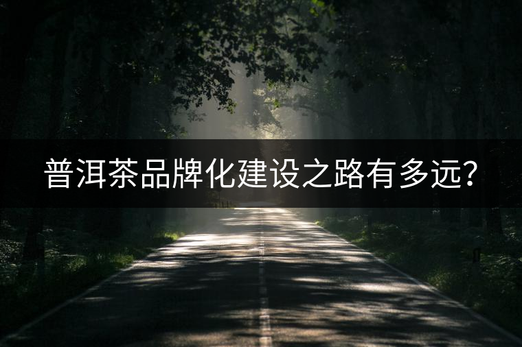 普洱茶品牌化建設(shè)之路有多遠(yuǎn)？
