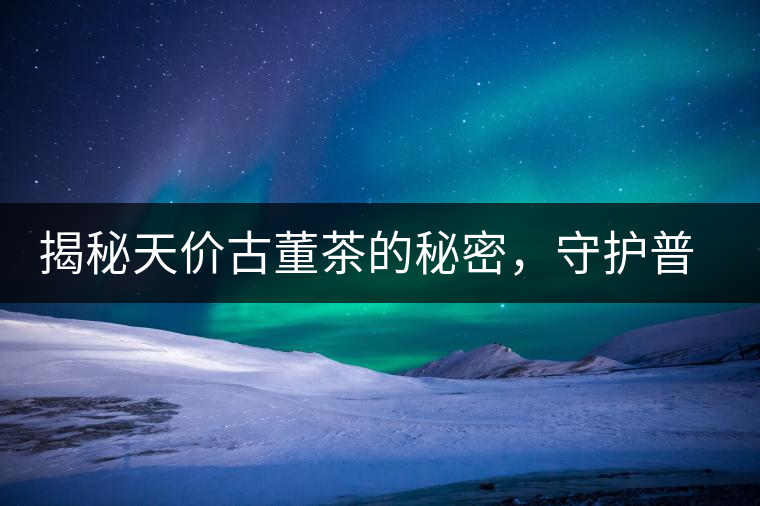 揭秘天價古董茶的秘密，守護(hù)普洱茶的健康發(fā)展