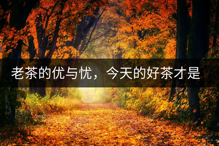 老茶的優(yōu)與憂，今天的好茶才是將來(lái)真正的老茶