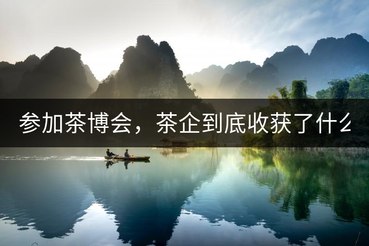 參加茶博會，茶企到底收獲了什么？