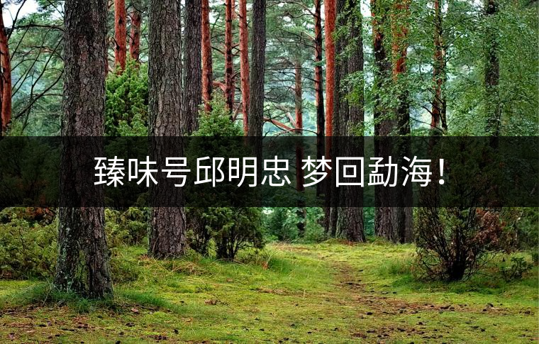 臻味號邱明忠 夢回勐海！