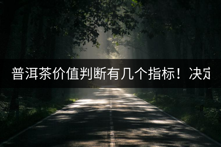 普洱茶價值判斷有幾個指標！決定價值！