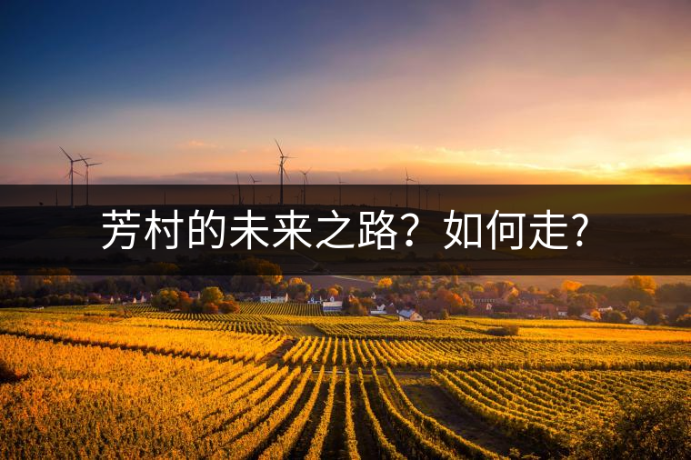芳村的未來之路？如何走?