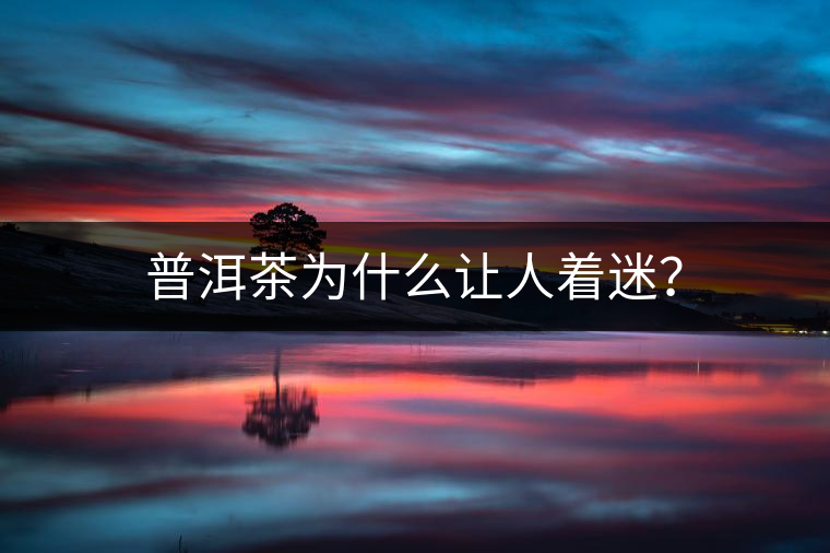 普洱茶為什么讓人著迷？