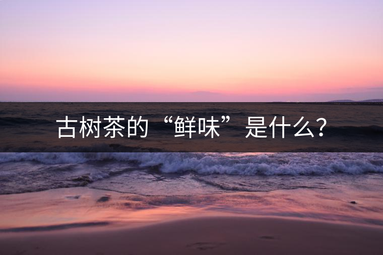 古樹茶的“鮮味”是什么？