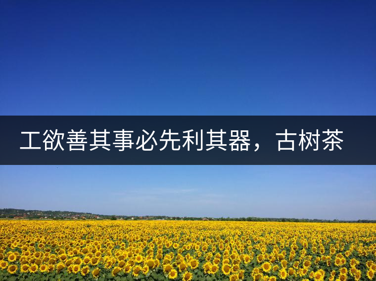 工欲善其事必先利其器，古樹茶用什么茶器最好？