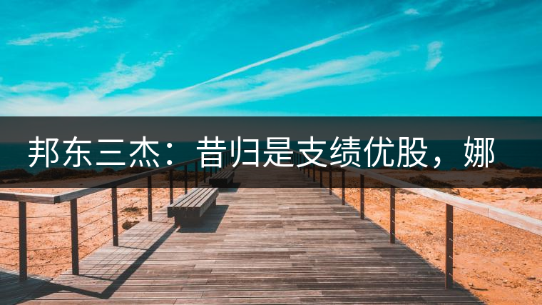 邦東三杰：昔歸是支績優(yōu)股，娜罕是支潛力股