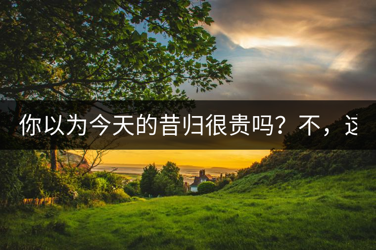 你以為今天的昔歸很貴嗎？不，這只是開始！
