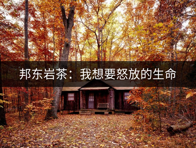 邦東巖茶：我想要怒放的生命