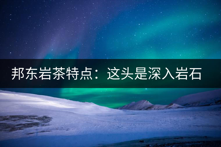 邦東巖茶特點(diǎn)：這頭是深入巖石的根，那頭是臨風(fēng)飄香的古韻