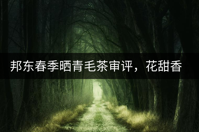 邦東春季曬青毛茶審評(píng)，花甜香高揚(yáng)甘爽潤(rùn)滑