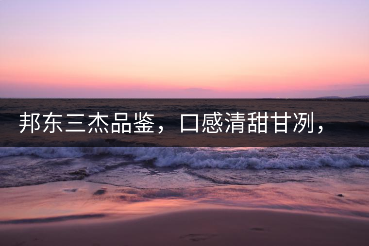 邦東三杰品鑒，口感清甜甘冽，香氣富于變化