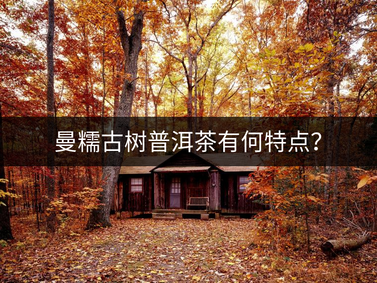 曼糯古樹普洱茶有何特點？