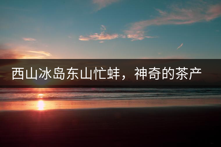 西山冰島東山忙蚌，神奇的茶產(chǎn)區(qū)勐庫(kù)