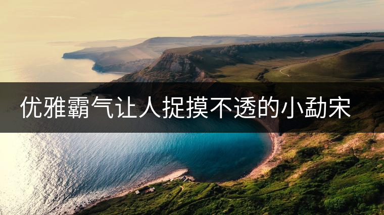 優(yōu)雅霸氣讓人捉摸不透的小勐宋古樹茶