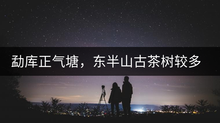 勐庫正氣塘，東半山古茶樹較多的寨子