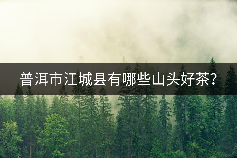 普洱市江城縣有哪些山頭好茶？