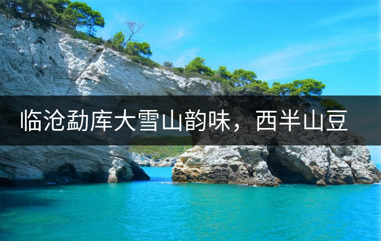 臨滄勐庫(kù)大雪山韻味，西半山豆腐寨古樹茶