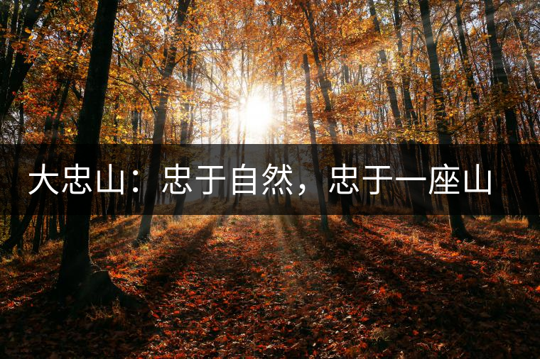 大忠山：忠于自然，忠于一座山的原味