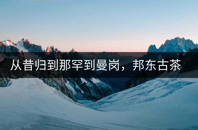 從昔歸到那罕到曼崗，邦東古茶藏著一條規(guī)律！