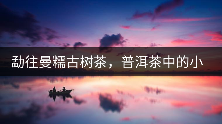 勐往曼糯古樹茶，普洱茶中的小班章