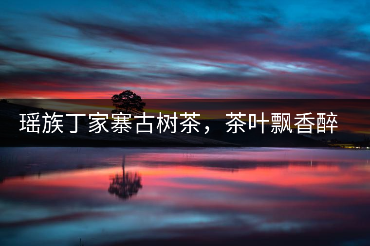 瑤族丁家寨古樹茶，茶葉飄香醉萬家