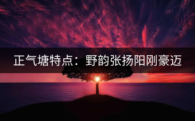 正氣塘特點(diǎn)：野韻張揚(yáng)陽(yáng)剛豪邁