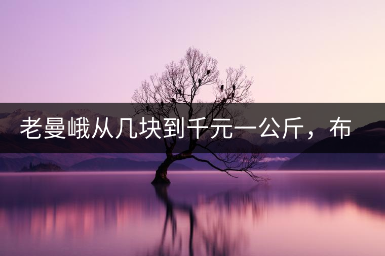 老曼峨從幾塊到千元一公斤，布朗山茶是怎么改變少數(shù)民族命運的