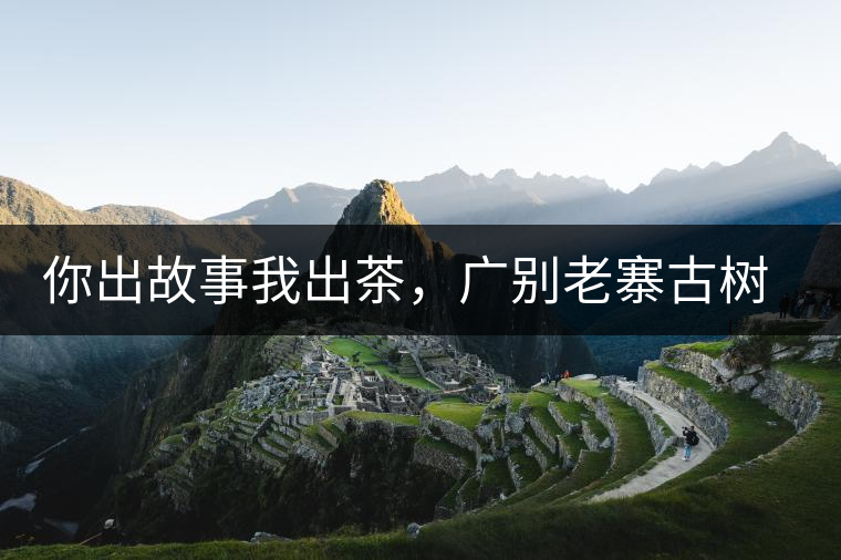 你出故事我出茶，廣別老寨古樹(shù)妖茶